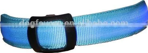 Bright 4-Way LED Dog Collar