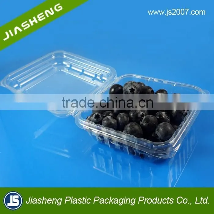PET Clear plastic clamshell blueberry containers factory supplier