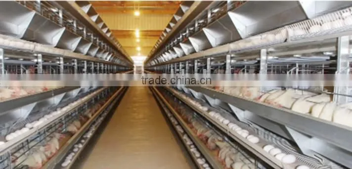 Birdsitter ISO9001 qualified Aluminum-Zinc Alloy poultry farm chicken cage