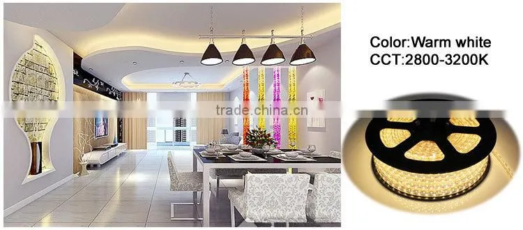 led rope light 5050