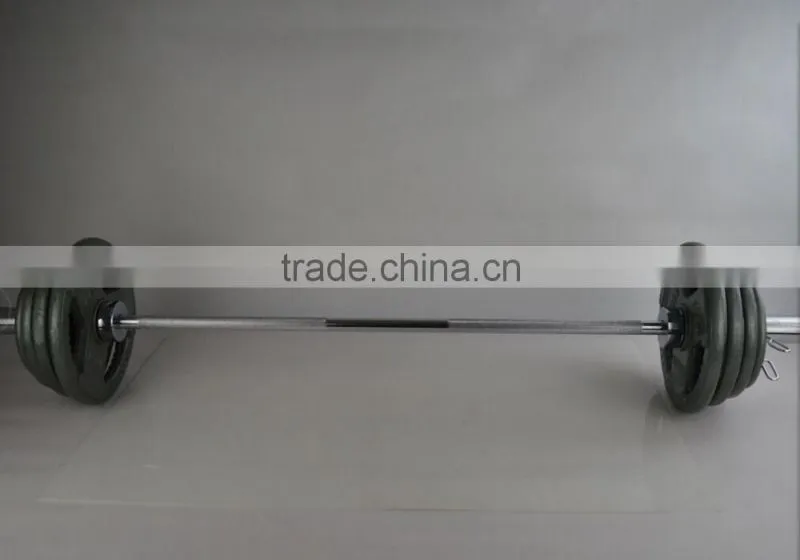 handle painting olympic barbell weight plate in weight lifting