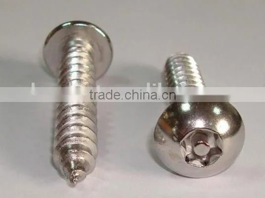 Self Tapping Screw
