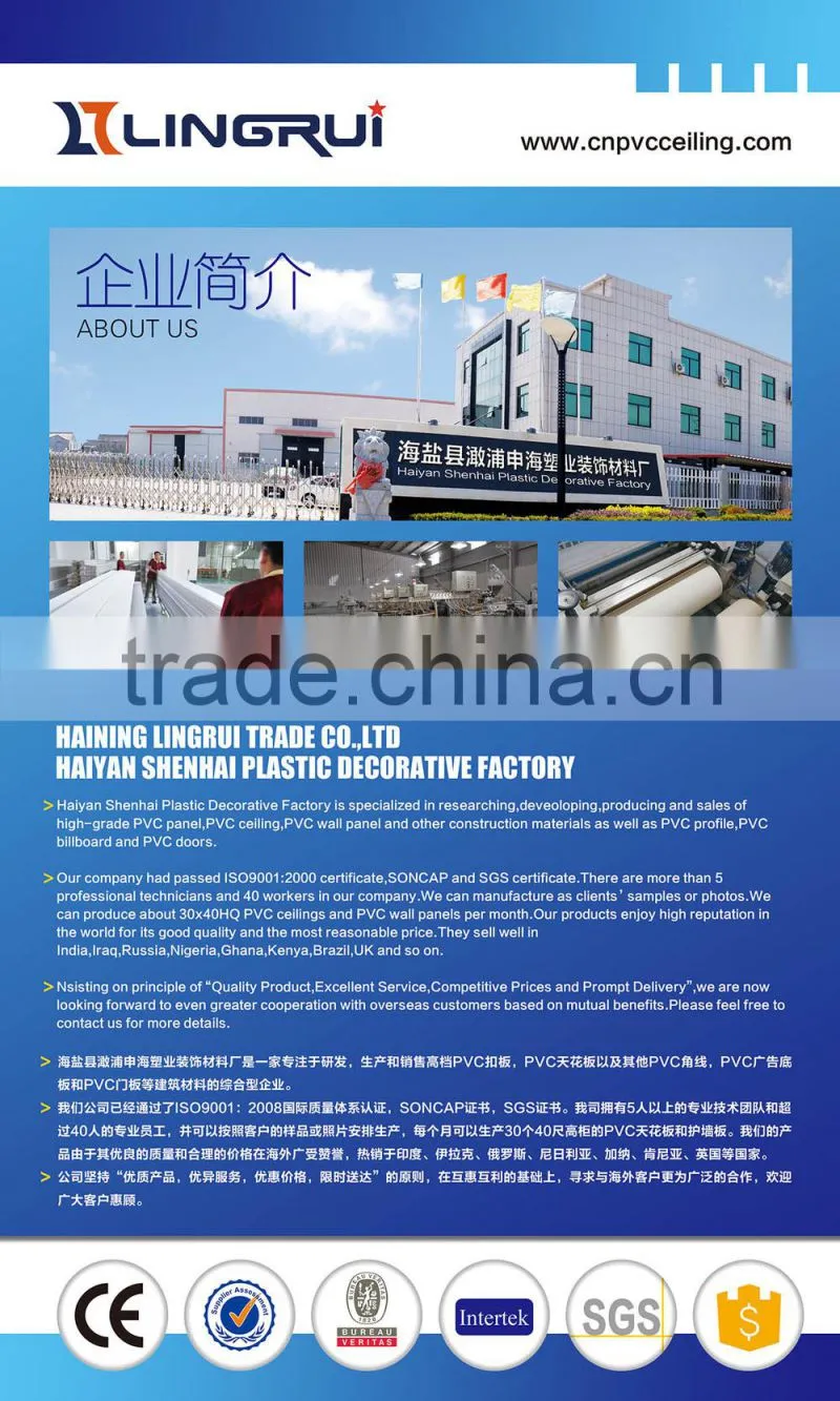 pvc decorative paneling celing design