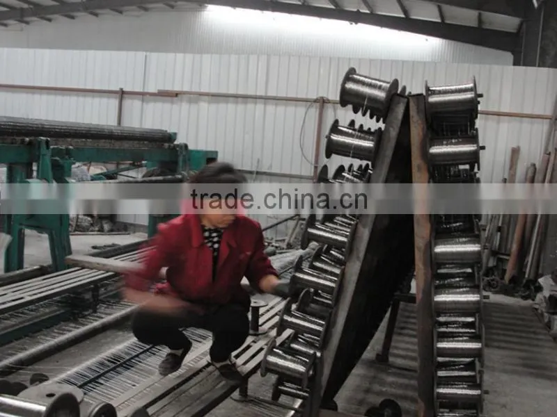 2016 Good Sales!! 24 Hot Galvanized Hexagonal Wire Mesh for Cleaning Stock