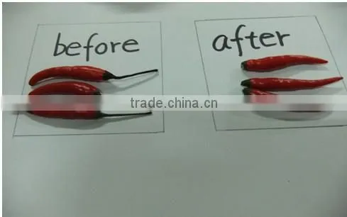 pepper stem removing machine|dry or fresh pepper stem cutter machine|dry chili stem cutting machine