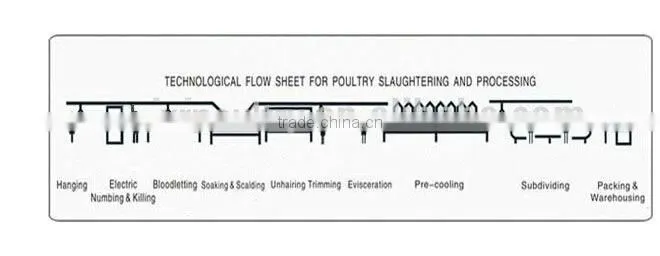 poultry slaughter house