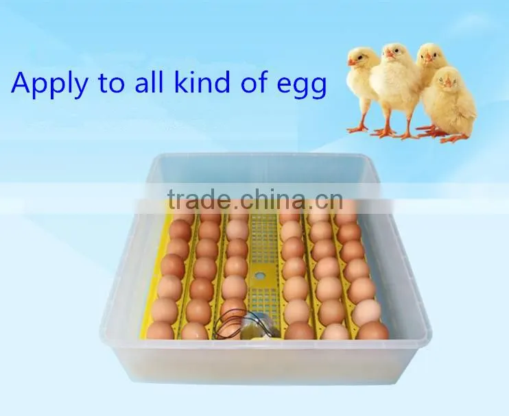 Small little turtle incubator / automatic egg incubator