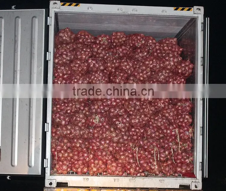 China origin onion ton market price for red onion