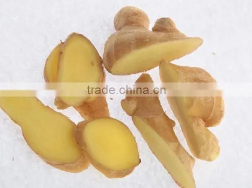 2015 New crop of fresh ginger , professional suppliers