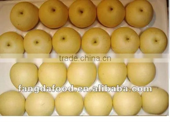 new crop fresh huangguan pear