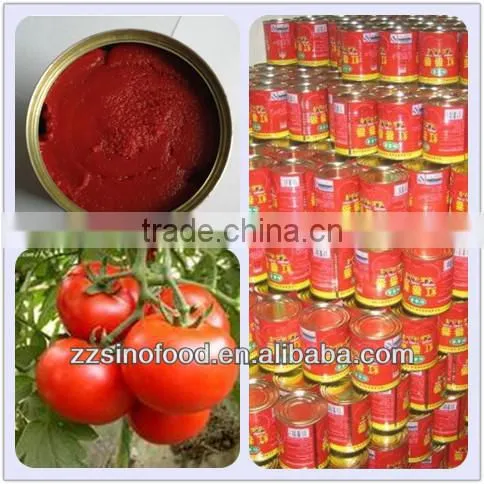 Cheap Canned Food Canned Tomato Paste from China