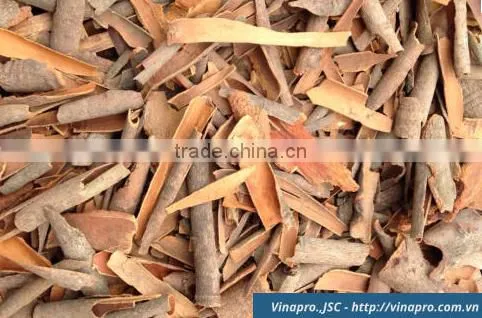 VIETNAM VINAPRO CINNAMON / CASSIA (Split, broken, pressed, quare/round cut, stick/cigarette)