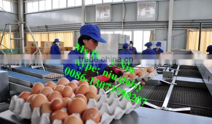 automatic egg packing machine/egg tray packaging machine/egg grading machine for packing