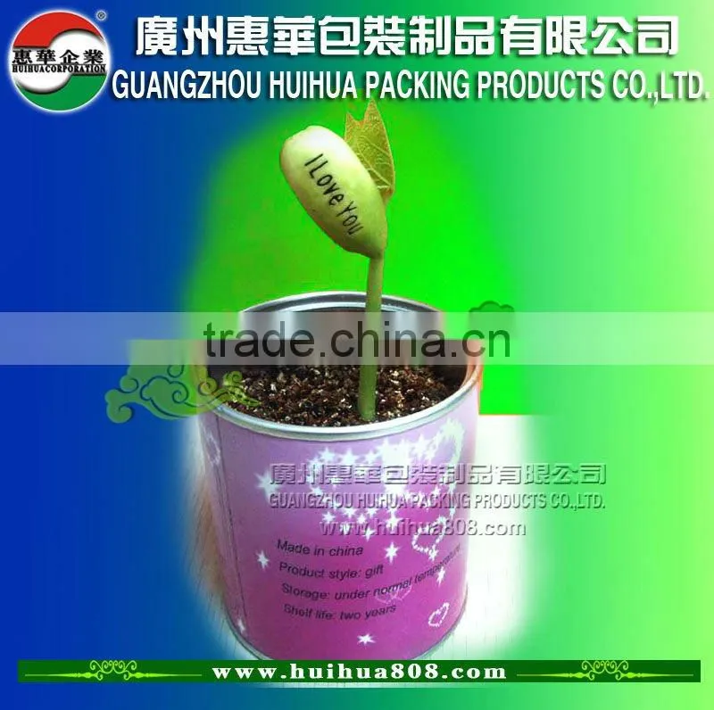 Canned magic beans