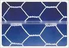 Hexagonal wire mesh