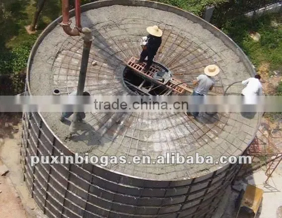 Low cost and big size PUXIN biogas plant for electricity generation