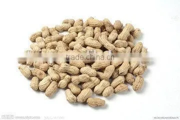 super large peanut shelling machine unit /pneumatic conveying groundnut sheller machine unit