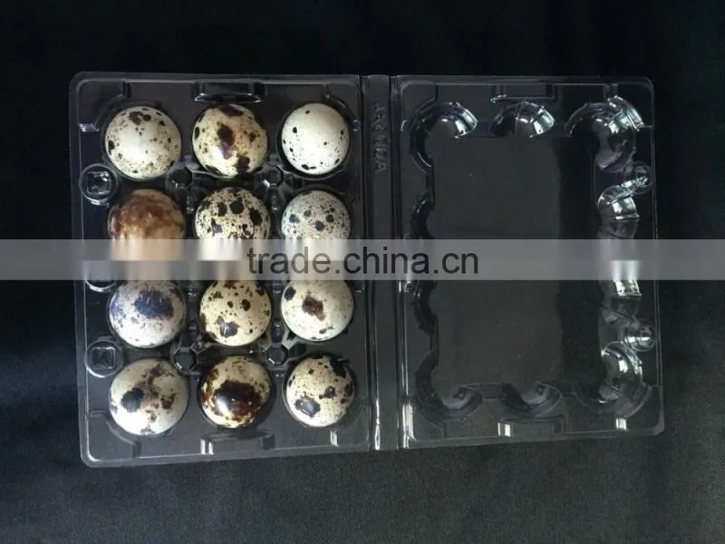 PVC plastics Plastics food containers Egg packing box for quail 12 eggs quail egg tray