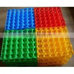 custom colorful plastic egg shell