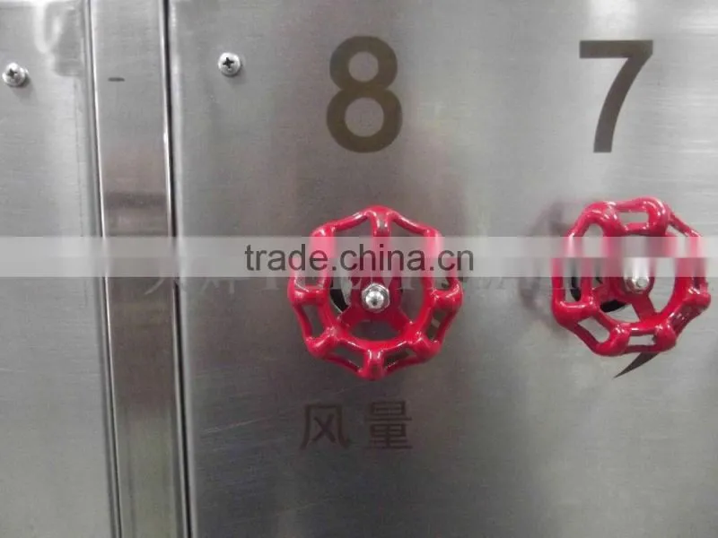 Taiwan Teemyeah TW-406 Efficient Continuously Vegetable Washing Machine