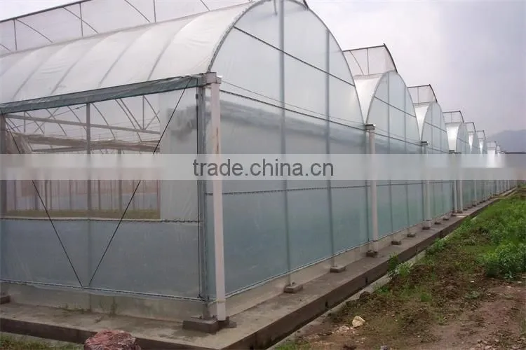 Galvanized Tube Structure Multi-Span Greenhouse Used for Growing Plantings