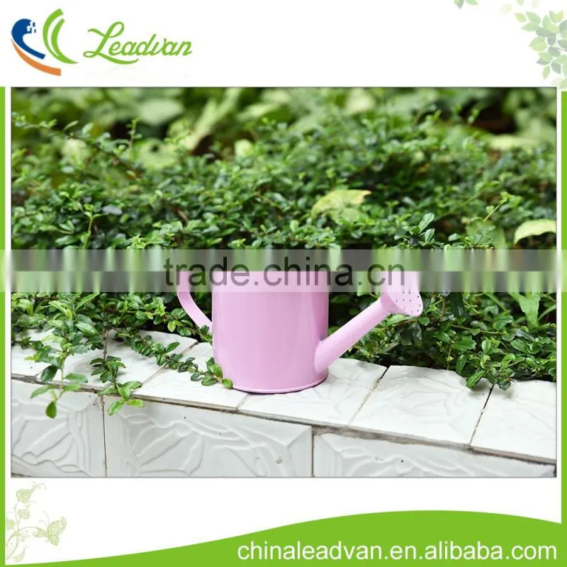 New design decorative small metal flower watering can for gardening tools