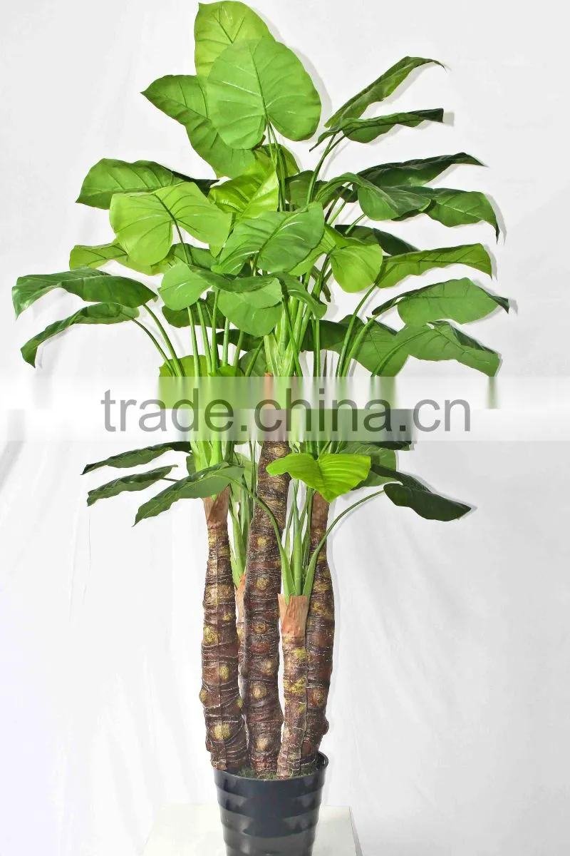 Wholesale outdoor use potted plants