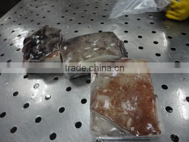 frozen peru giant squid wing