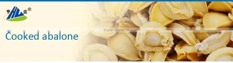 live frozen abalone in shells wholesale