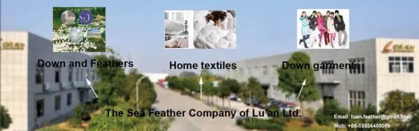 The Sea Feather Limited Company Of Luan company overview - view 1