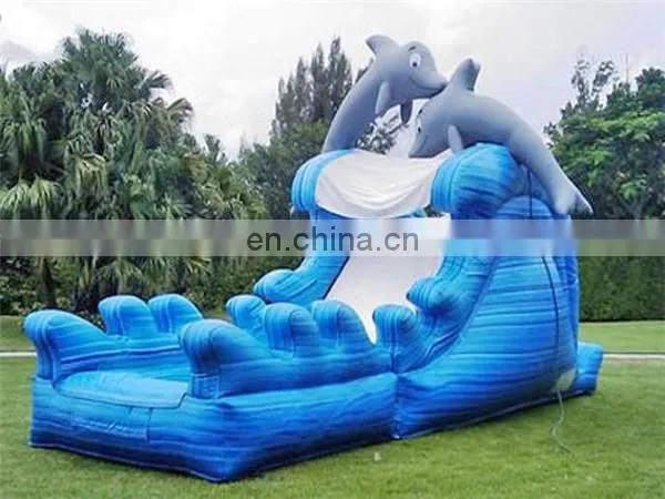 Inflatable Dolphin Dry & Wet Slide, inflatable water slide