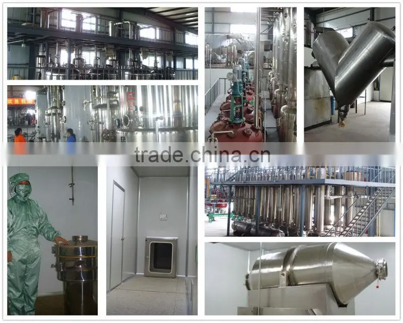 apple polyphenols extract