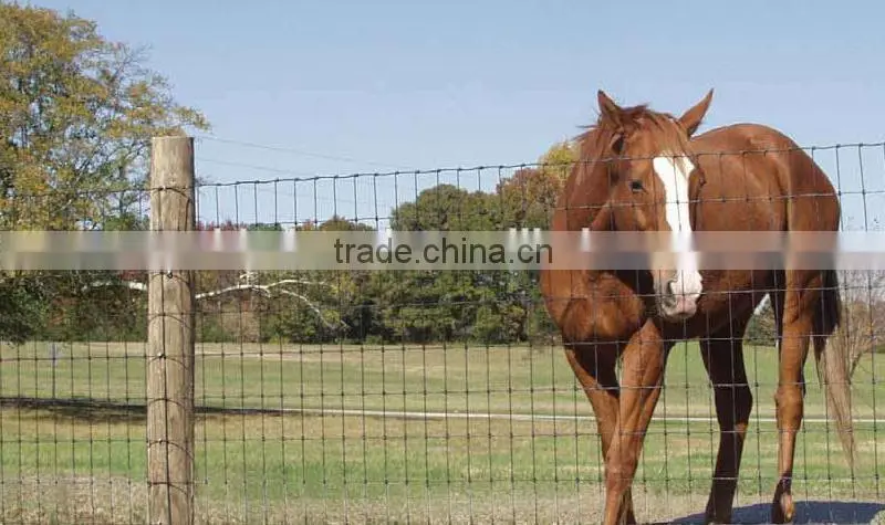 electro galvanized cattle fence(ISO and SGS)