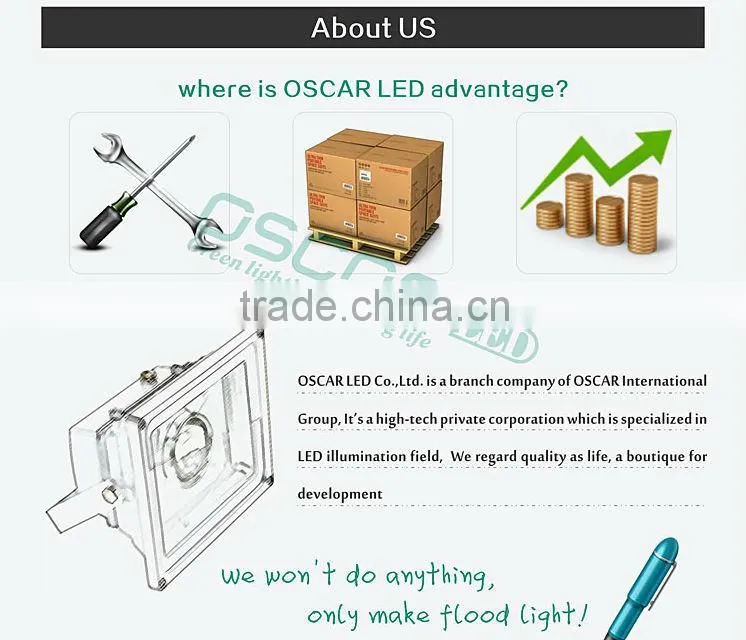CE RoHS UL Meanwell driver Sumsung IP65 20000lm PIR sensor led floodlight 20w