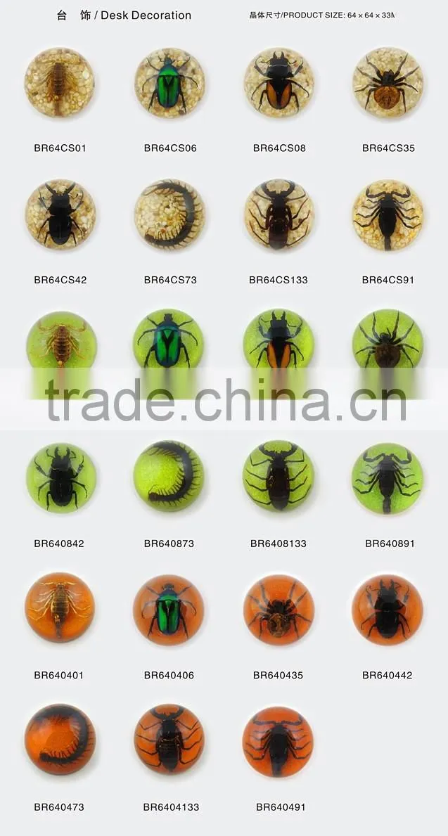 2016 new style business particularly paperweight with real insect spide