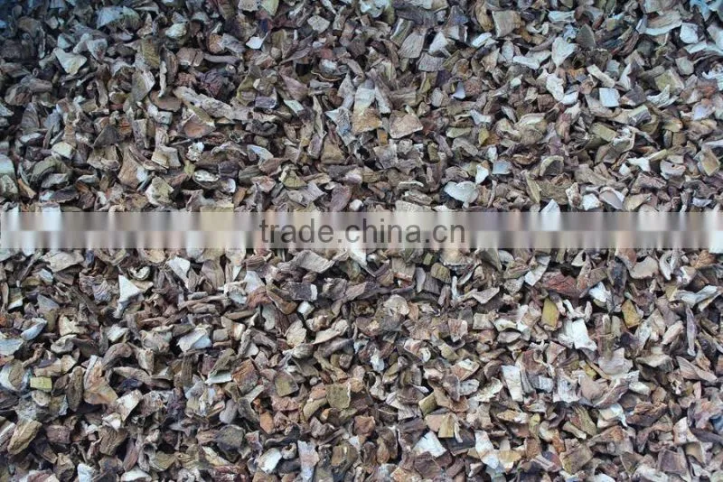 Dried porcini mushroom fresh mushroom farm