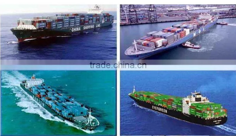 shanghai warehousing to tampa