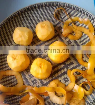 Top sale Stainless steel kiwi peeler for persimmon, apple, pear and different fruits