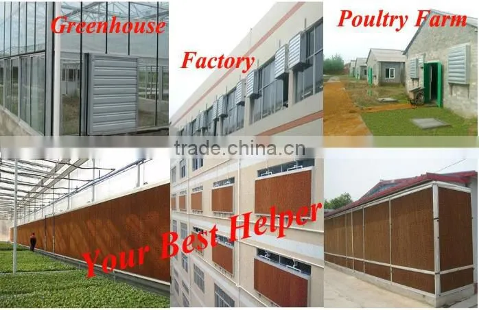 wall mounted negative pressure exhaust fan for poultry farm
