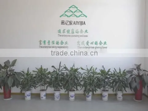 Fujian Aiyijia Electronic Co., Ltd. company overview - view 1