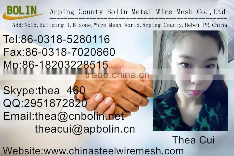 GR1 GR2 GR3 Gr4 Gr5 Titanium woven wire mesh Ti mesh screen
