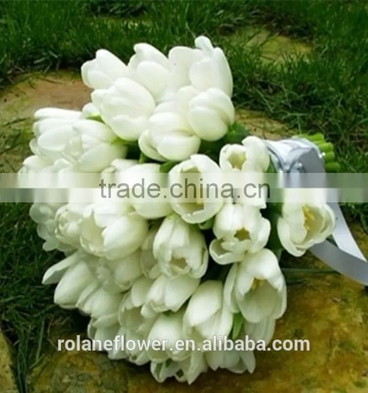 wholesale same quality as Nitherlands fresh cut flowers Tulip Flower