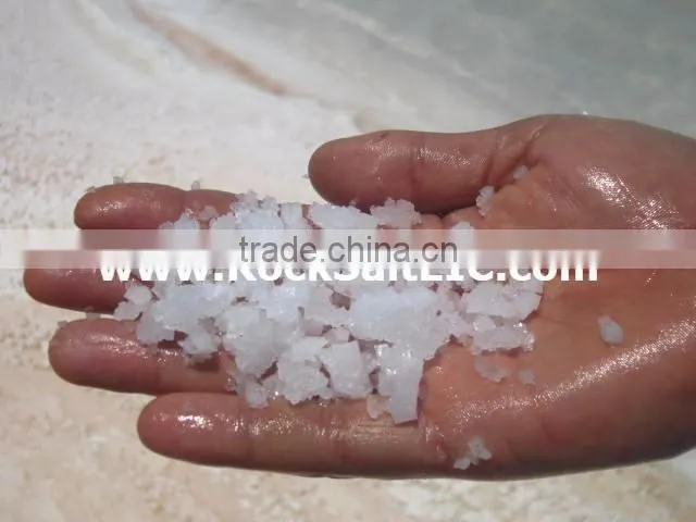 Sodium Chloride 98-99% NaCl for Winter maintenance in Bulk - white color with no impurity - SGS analysis