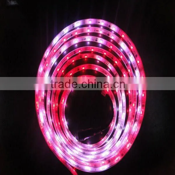 Magic digital led strip rgb