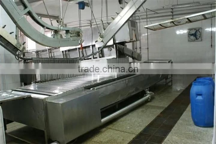 Pig carcass plat