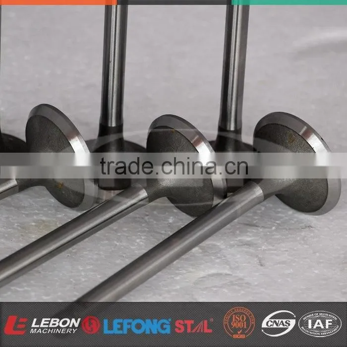 Yuchai 6 Cylinder Engine VALVE IN