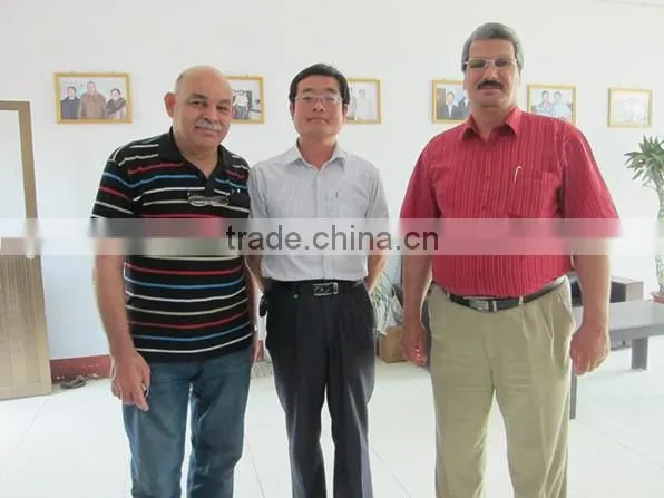 Automatic Welded Wire Mesh Machine For PVC Coated Wire Mesh ISO9001&CE Factory
