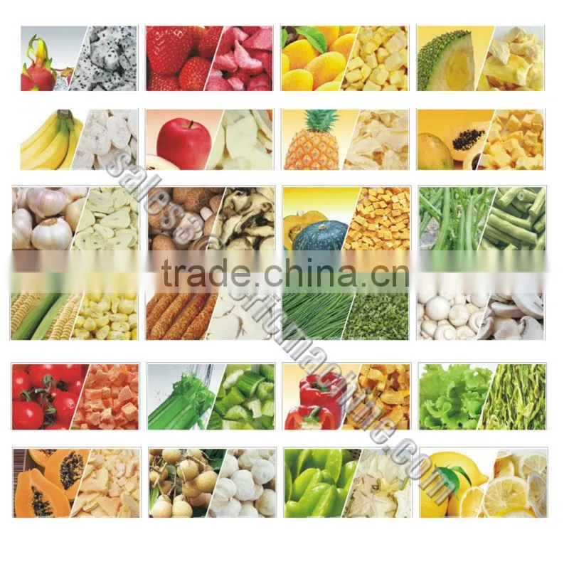 Freeze Dryer for Sale DR-FD-1C