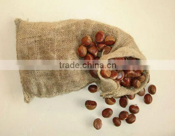 2013 Chinese chestnut