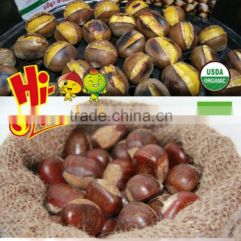 New Crop Fresh Chestnuts---TAIAN Chestnuts origin from Shandong